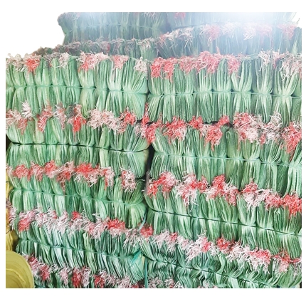 Bao đựng gạo 5kg , 10kg, 15kg, 20kg, 25 kg